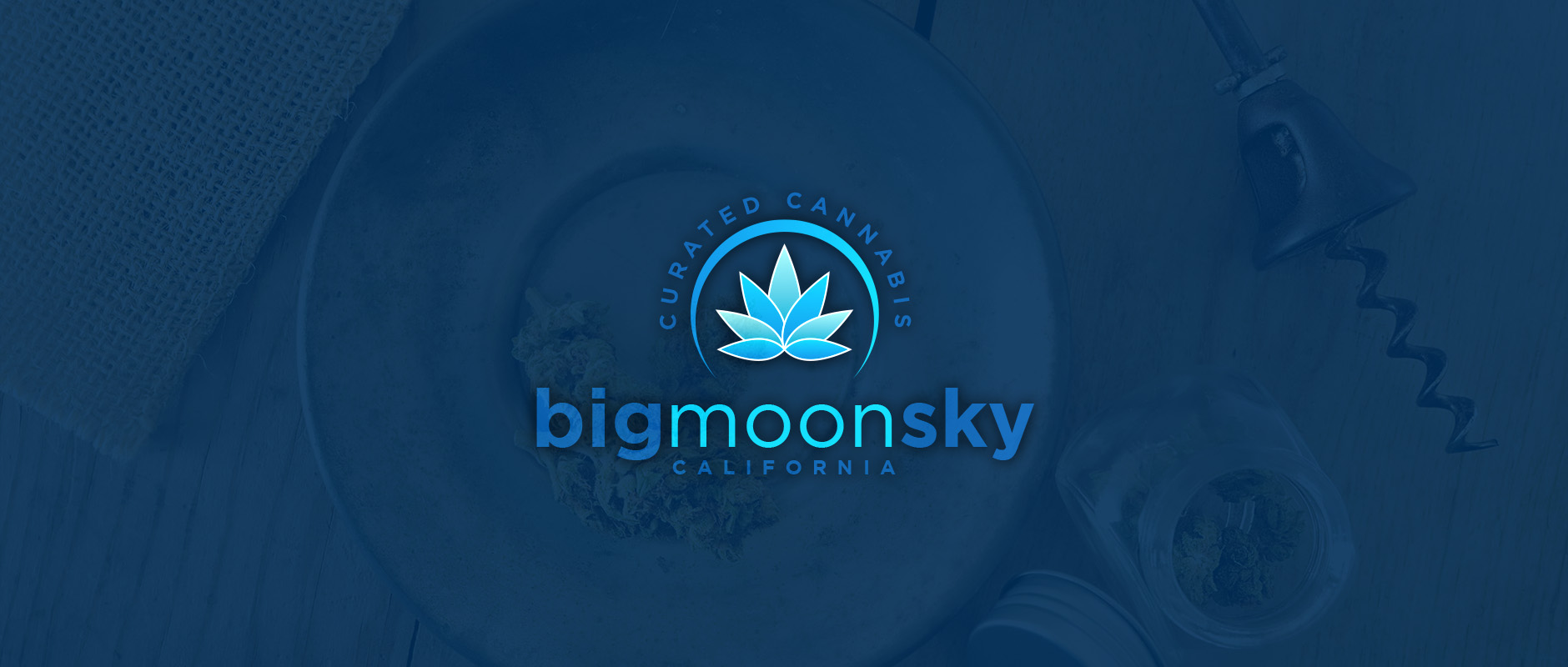 Big Moon Sky - logo Design