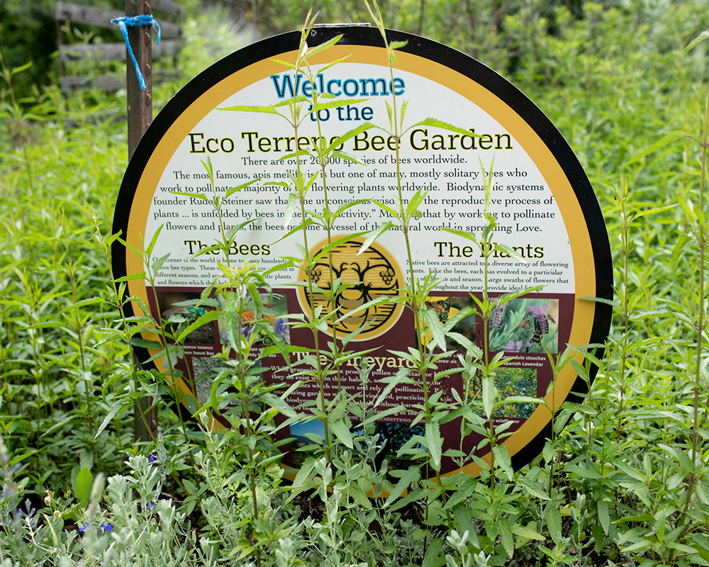 Eco Terreno - Bee garden
