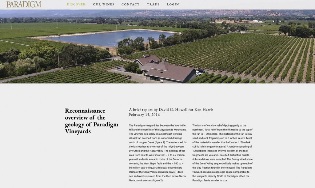 Brandkind Paradigm Website Vineyard